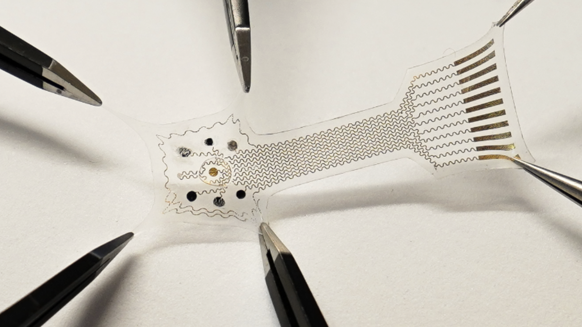 Explained A new ‘smart bandage’ raises the bar for treating chronic